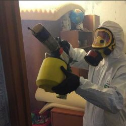 Уничтожение клопов в квартире. Соколиная Гора